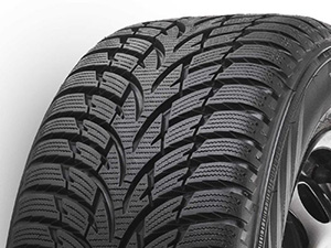 Nokian WR D3